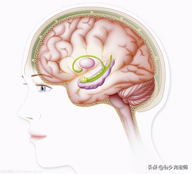 温故而知新是什么意思，温故而知新故是什么意思（记忆力的法则其实很简单）
