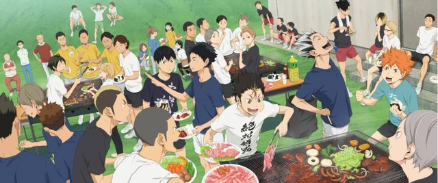 排球少年阵容介绍，《排球少年》最后什么结局