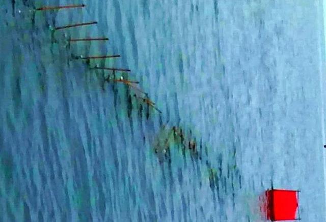 怎样做马步鱼，怎样做马步鱼汤（这种又细又长的鱼名叫“马步鱼”它既是海鱼又是河鱼）