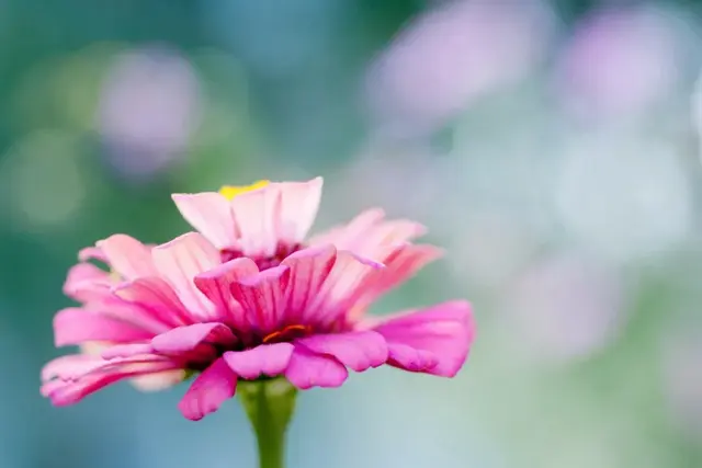 拥有阳光的心态，有关阳光心态的句子（做人，要有阳光心态！）