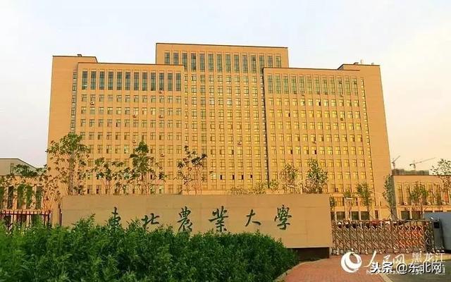东北林业大学林学院,东北林业大学林学院的专业介绍(哈尔滨这四所高校实力爆表) 东北林业大学林学院,东北林业大学林学院的专业介绍(哈尔滨这四所高校实力爆表)