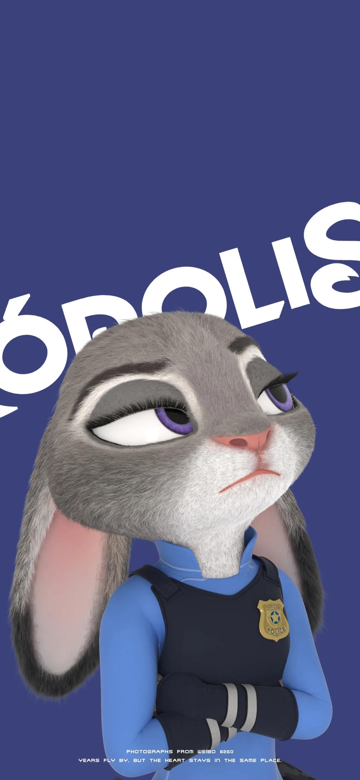 苏唯：疯狂动物城壁纸，苏唯安（美图壁纸第65期，疯狂动物城）