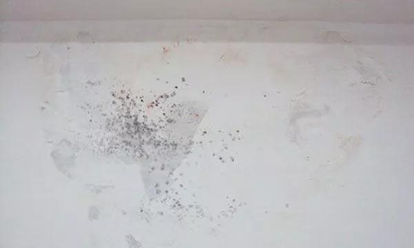 墙面发霉起泡怎么办？教你几招， 墙面起鼓脱落怎么彻底处理