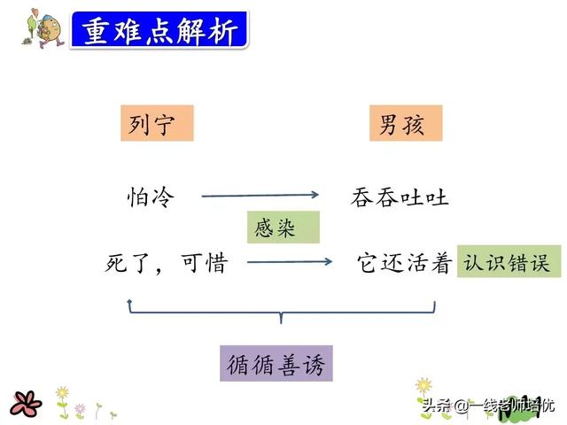 张望的近义词，张望的近义词是什么 标准答案（部编版三年级上册第26课《灰雀》重点知识+课文解读）