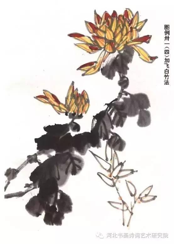花的画法——菊花的画法，菊花是怎么画（菊花画法大全）