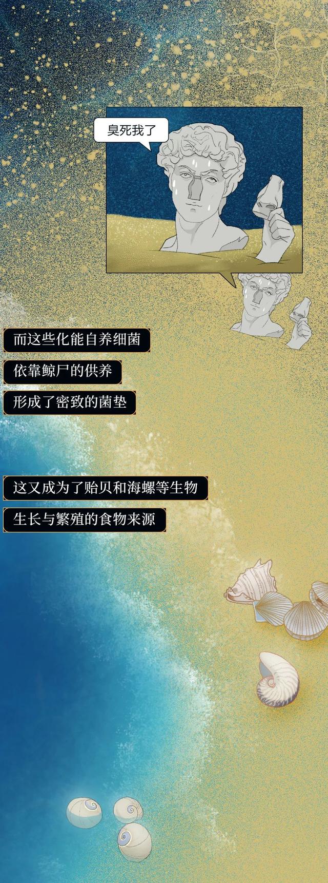 一鲸落万物生什么意思，万物生是什么意思（深入解析什么是“一鲸落）