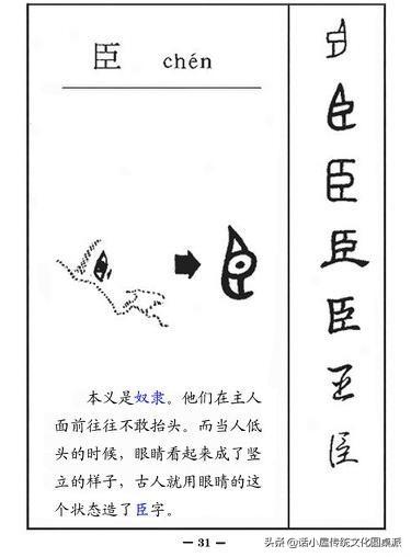 汉字字体的演变，关于汉字的字体的演变（从字源到甲骨文、金文、小篆再到楷书、行书的过程）