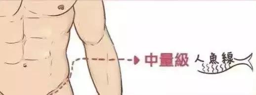  13种人鱼线，人鱼线这4个等级，你在哪一级 
