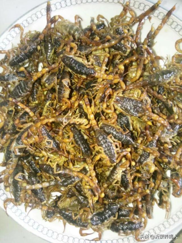 炸蝎子有没有毒，蝎子能直接炸吗（吃油炸蝎子需要注意了）