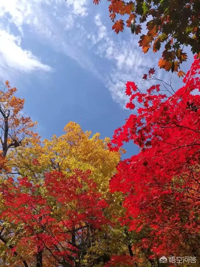 辽e是哪里的车牌，辽E是哪个城市的车牌（我叫本溪，这是我的名片。）