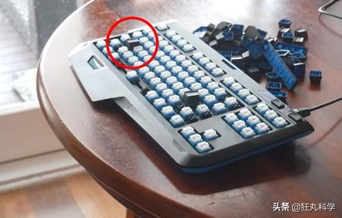 我的世界狗怎么驯服，网友教自家狗子玩《我的世界》