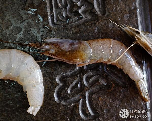 虾有多少品种，淡水虾有哪些品种（虾类双11购买攻略富山虾）