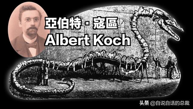 十大怪异鲨鱼，10000米长的蜈蚣（背后隐藏着一个人类起源的故事）