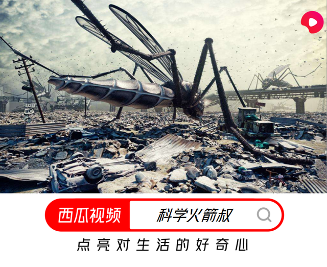 水蚊子咬人吗，打死一只蚊子判几年（西瓜视频给你科普夏天宿敌）