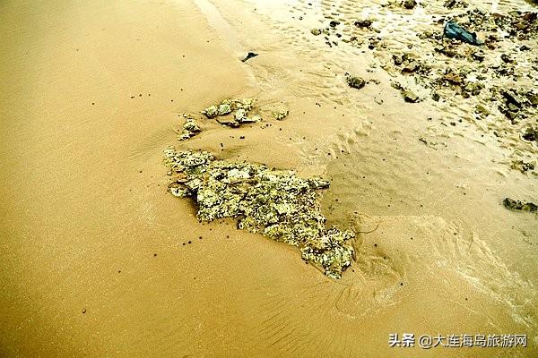 大连西中岛怎么样，西中岛旅游攻略（2019年五一小长假）