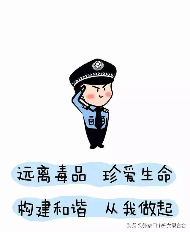 中华人民共和国禁毒法2008年几月实施，禁毒法是2008年几月几日施行的（，“6·1”《禁毒法》颁布实施纪念日）