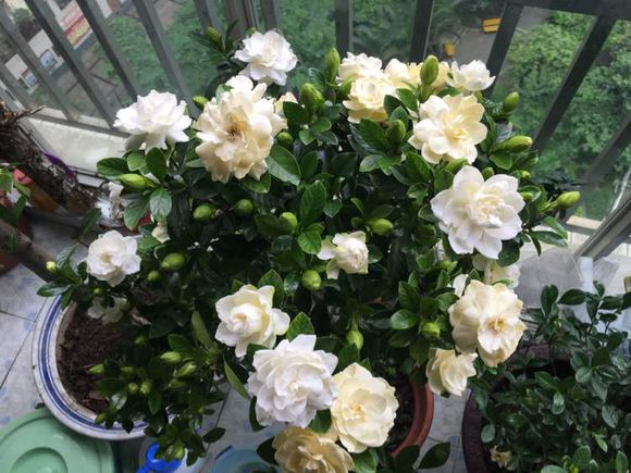 雨水是酸性还是碱性，正常雨水是酸性还是碱性（下雨多淋“雨水”）