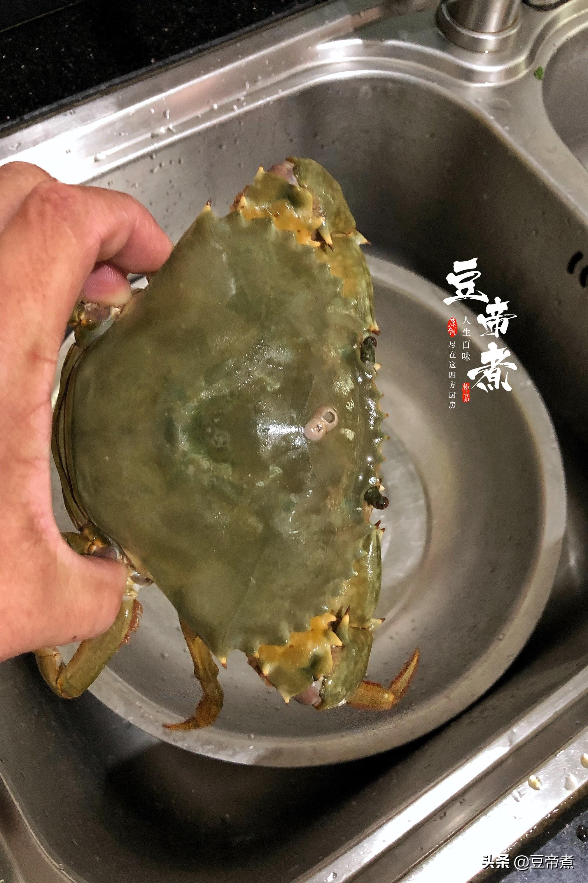 青蟹、膏蟹、黄油蟹是否同种？揭秘三者品种关系与区别，一文读懂蟹类身份之谜