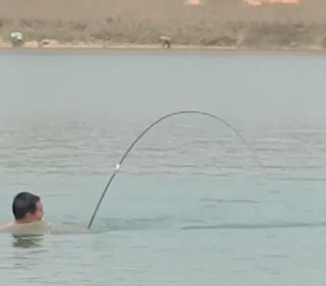 螺蛳青市场价多少钱一斤，50斤螺蛳青一般多少钱（武汉木兰湖140斤的“青鱼王”被捞起）