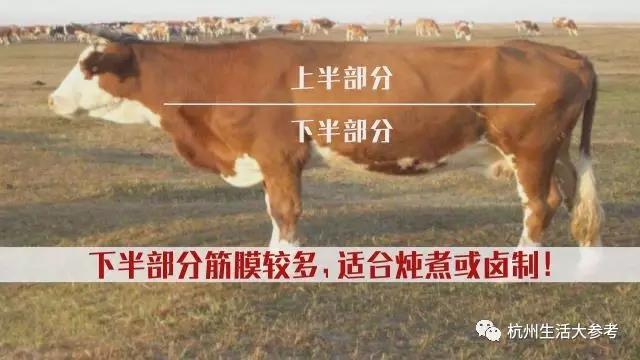 吃牛排的必知小知识，市面上的各种牛排你真的认识