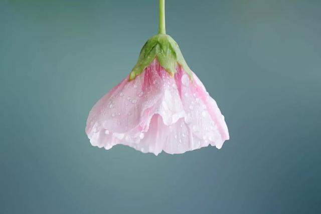 唯美句子控，励志语录唯美（50句超唯美的宝藏短句）