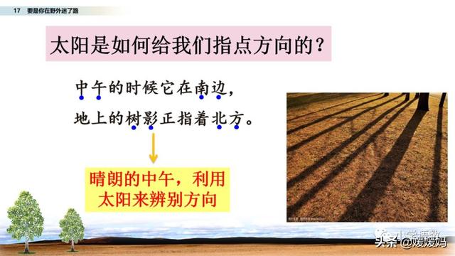 野外辨别方向的方法有哪些，野外辨认方向的6种方法（二年级下册语文17《要是你在野外迷了路》图文详解及同步练习）
