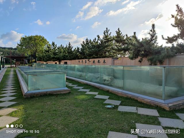 关于中国地质博物馆介绍，中国地质博物馆在哪个区（在烟台认识和了解自然与地质现象的好去处）