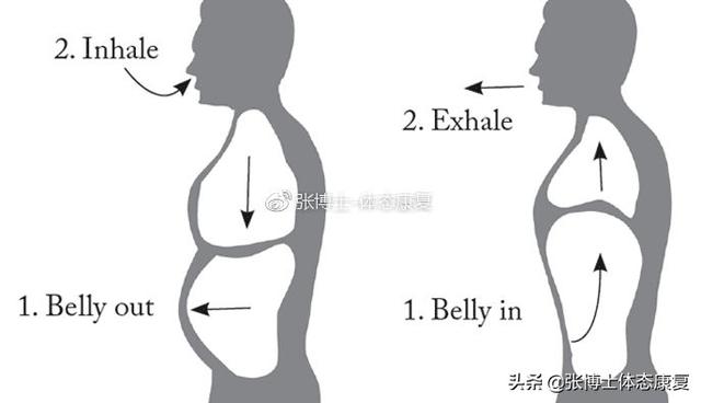 横膈膜呼吸法，横膈膜呼吸法有什么用（<膈式呼吸>对核心稳定性的影响）