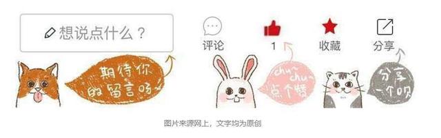企鹅为什么不怕冷（独处时畏寒，抱团取暖却嫌热）