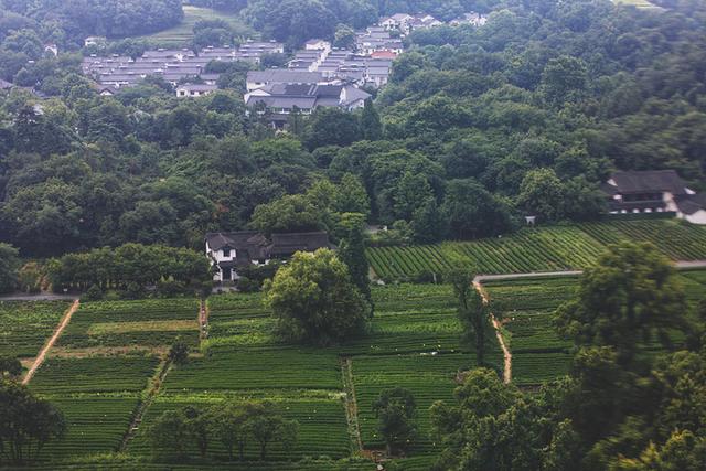 普陀山求财去哪最灵，浙江普陀山（浙江一300米小山）