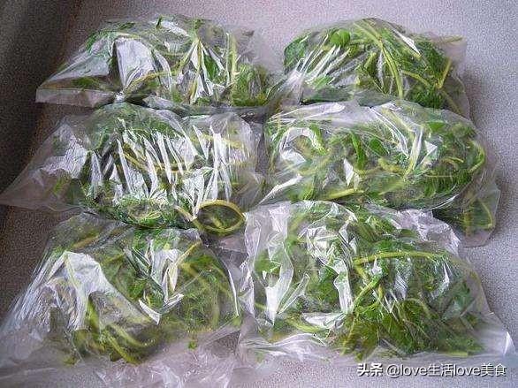 夏天的香椿嫩芽可以吃吗，夏天香椿树上的嫩芽能吃吗（我们家都这样将香椿芽保鲜）