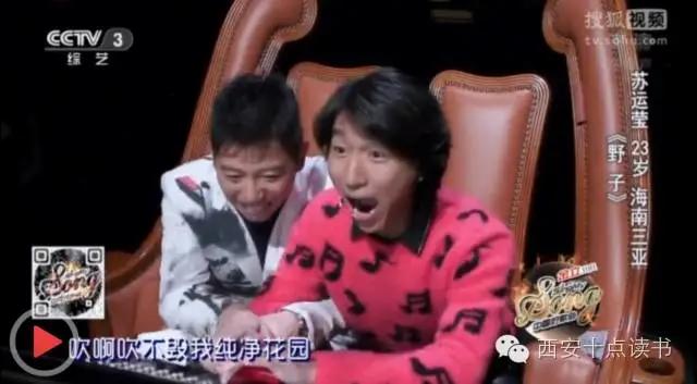 野子歌词的意思是什么，野子：我将以梦为马无所畏惧