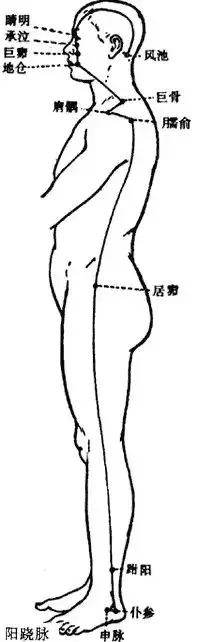 奇经八脉图解，详解奇经八脉！<收藏再看>