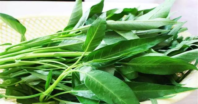 大头菜和卷心菜是一个菜吗，卷心菜和包菜的区别（12种蔬菜的N种四川喊法）