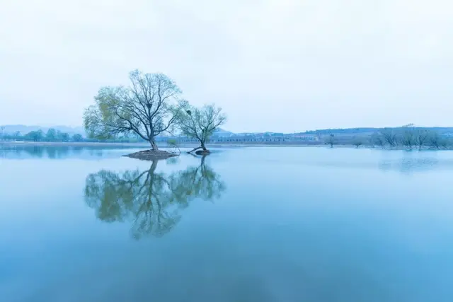 浮光掠影什么意思，浮光掠影是什么意思（50组易混淆的成语）