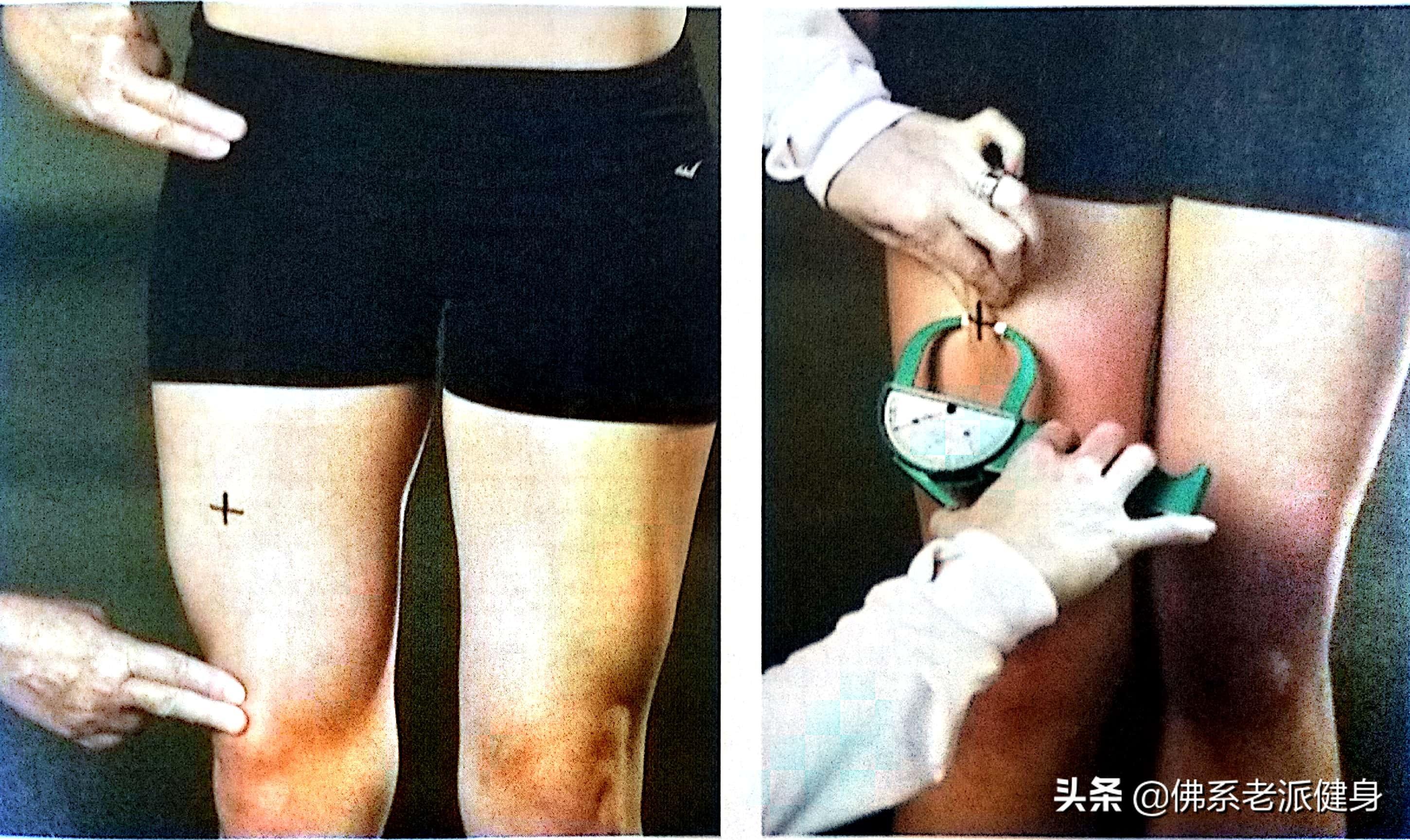 如何测体脂率(测量体重体脂的软件)