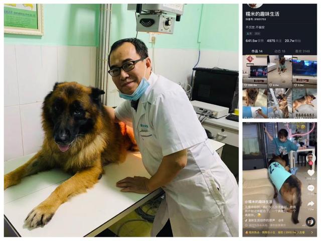 哈尔滨宠物医院，十大哈尔滨宠物医院排名（瑞派宠物医院告诉你最牛医院的正确打开方式）