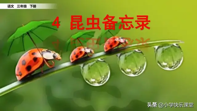 什么的硬翅，什么的硬翅？填四个字。（小学部编三年级语文下第4课《昆虫备忘录》图文+知识点+同步练习）