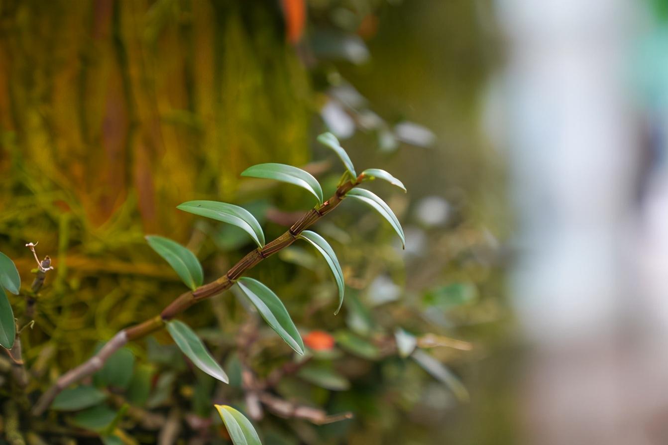 雁荡山旅游攻略推荐（请收好这篇，省心又省钱游玩攻略）