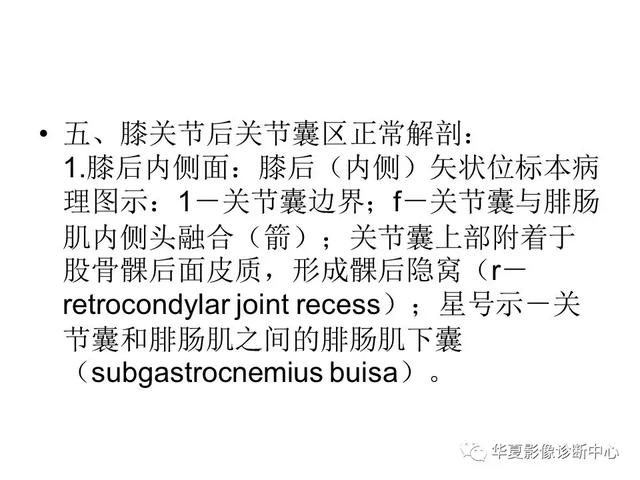 膝关节解剖结构图，膝盖解剖图示意图（膝关节MRI之正常解剖综述）