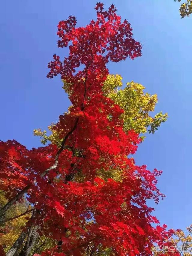 辽e是哪里的车牌，辽E是哪个城市的车牌（我叫本溪，这是我的名片。）