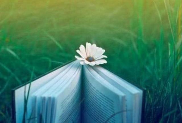 悄无声息的意思，悄无声息是什么意思（四年级语文上册第一单元）