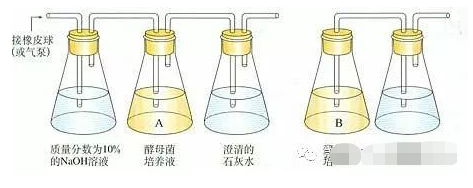 碘液遇淀粉颜色变化，碘遇到淀粉变成什么颜色（高考生物必修一知识点总结）