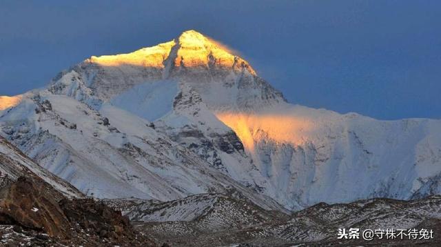 狗不理包子的由来，狗不理包子的由来是什么（是一个叫“狗子”的人经常买包子）