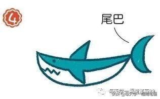 简单的鲨鱼画法，鲨鱼鲨鱼的画法（每天学一幅简笔画--海里的鲨鱼简笔画画法步骤）