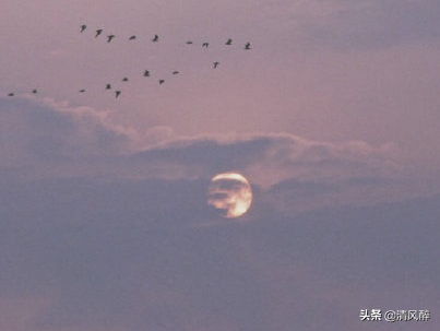 搞笑说说，搞笑说说文案（搞笑有趣的朋友圈说说）