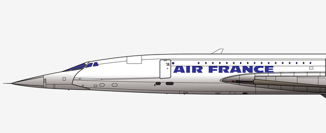 法国航空4590号班机空难，世界十大空难之谜（法航AF4590航班7.25班戈内斯空难）
