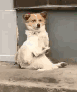 渣男是什么意思，渣女是什么意思（蚯蚓男、甘蔗男、海王……昨天突然刷屏的渣男代名词是啥意思）