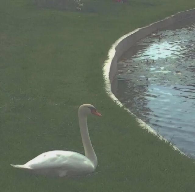 微信壁纸图片大全，微信背景图片（微信朋友圈背景图<60张>）