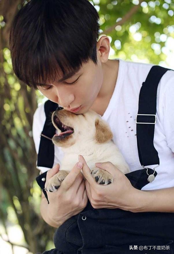 三十而立演员表，三十而已演员表全部（来讲述成毅十年走过怎样的演艺打磨之路）